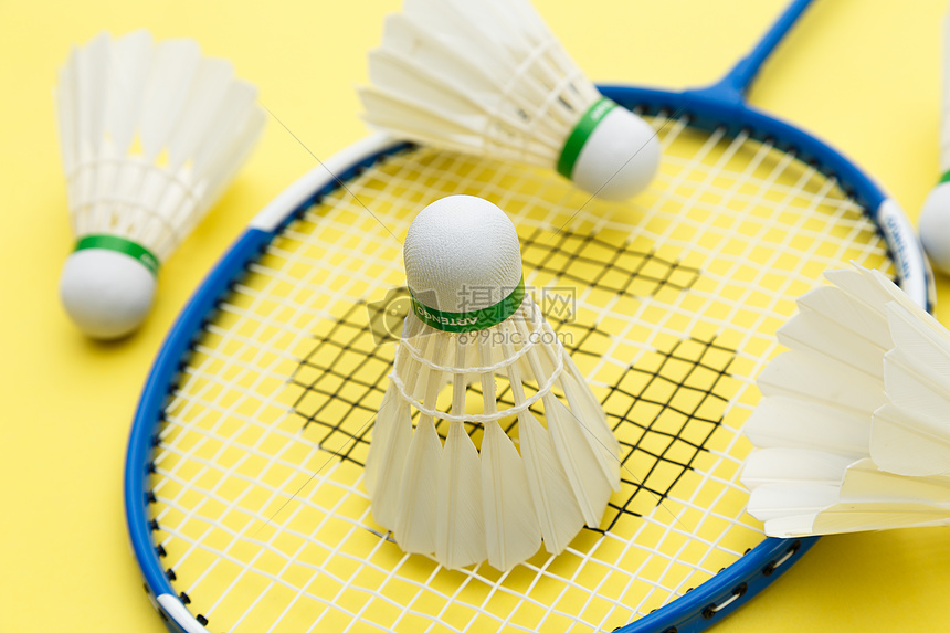 仅满足了人 仅满足了人